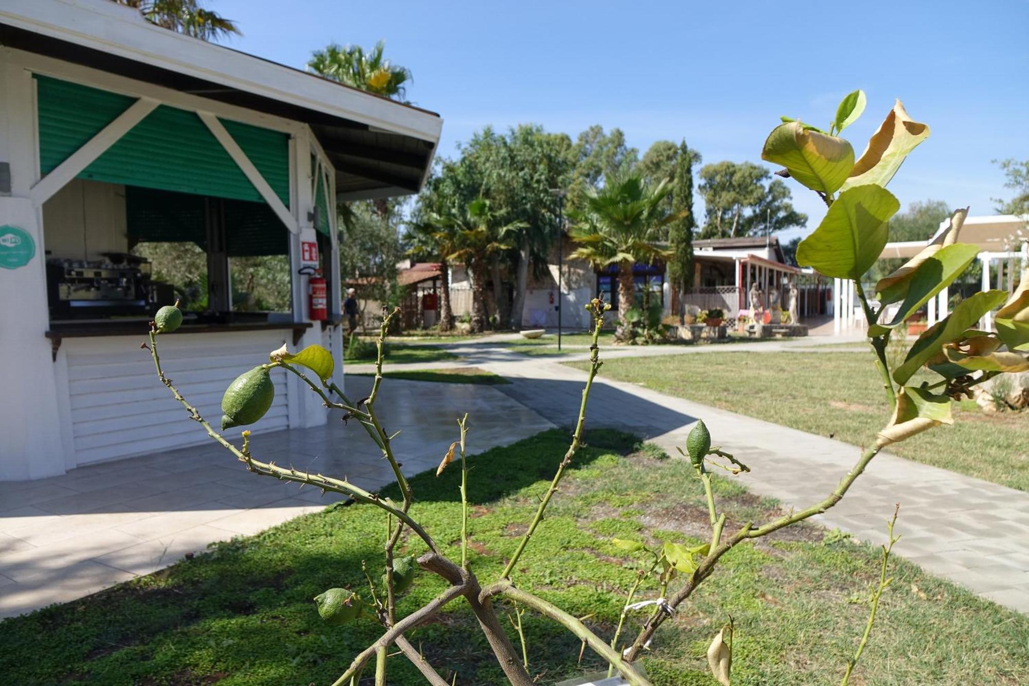 Giardini Sausari Residence Punta Prosciutto Exterior foto